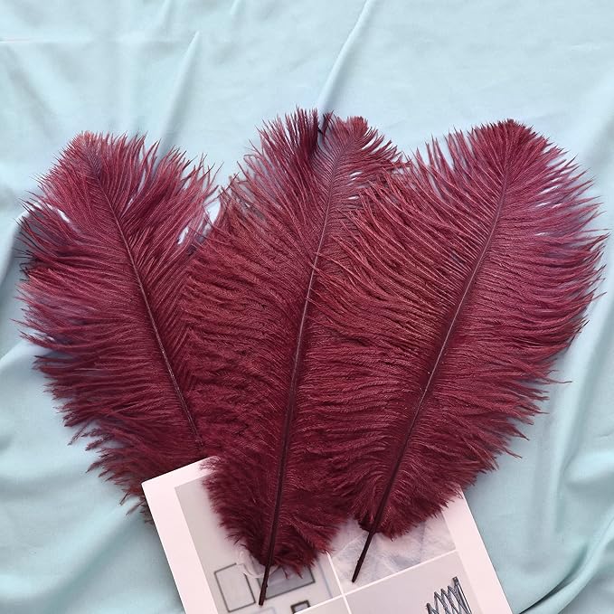 Ballinger Big Burgundy Ostrich Feathers - Image 5