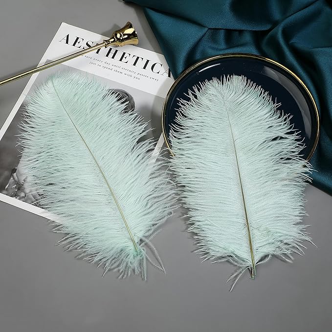 Ballinger Aqua Green Ostrich Feathers - Image 5