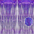 BRAVESHINE Purple Tinsel Foil Fringe Curtains by BRAVESHINE